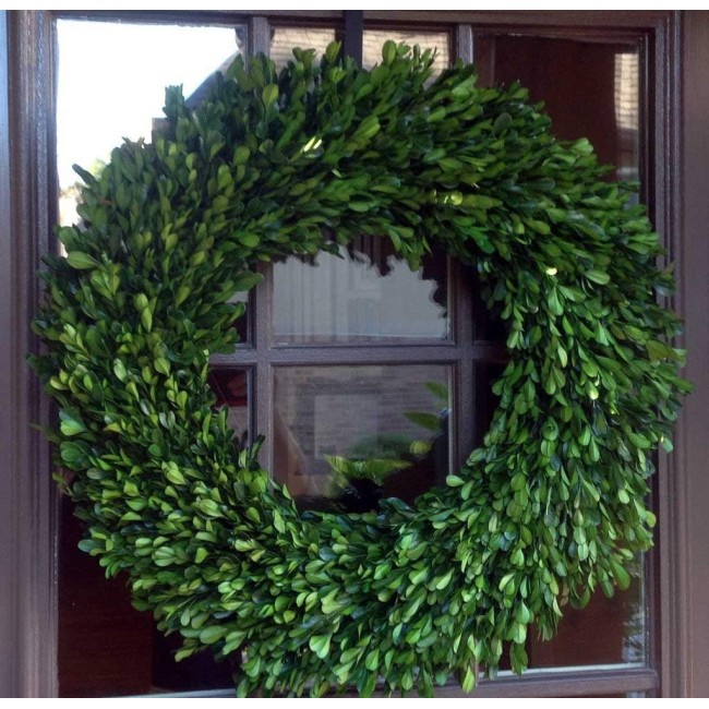 Preserved Boxwood Garden Wreath - 22 Inch