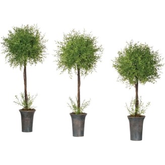  Artificial Potted Feather Ferns, 23 - 30 Inches, Set of 3 (01963TOP)