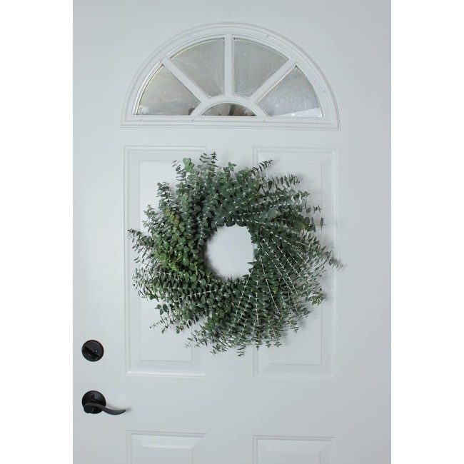 Living Baby Blue Eucalyptus Wreath 20 inch Handcrafted Fresh Cut Greenery Wreath for Front Door Church Door Decor Wedding House Warming Holiday Gift | Yoga Lovers | Self-Care