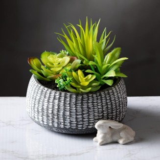  Artificial Succulent in Ceramic Pot 6" H Faux Succulent Perfect for House Living Room Office Housewarming Gift Indoor Decor