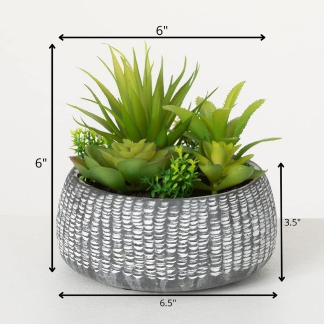  Artificial Succulent in Ceramic Pot 6" H Faux Succulent Perfect for House Living Room Office Housewarming Gift Indoor Decor