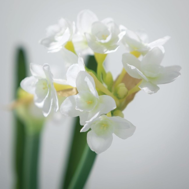  Paperwhite Flower with Bulb Stem 20", White Narcissus Stem with Bulb, White Small Daffodil Floral Stem Artificial Flowers, Lifelike Paperwhite Realistic Flower (GG511)