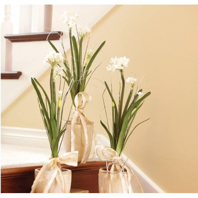  Paperwhite Flower with Bulb Stem 20", White Narcissus Stem with Bulb, White Small Daffodil Floral Stem Artificial Flowers, Lifelike Paperwhite Realistic Flower (GG511)