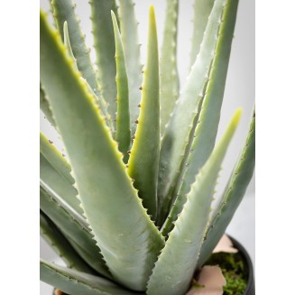  Faux Potted Aloe; Indoor Artificial Greenery Décor