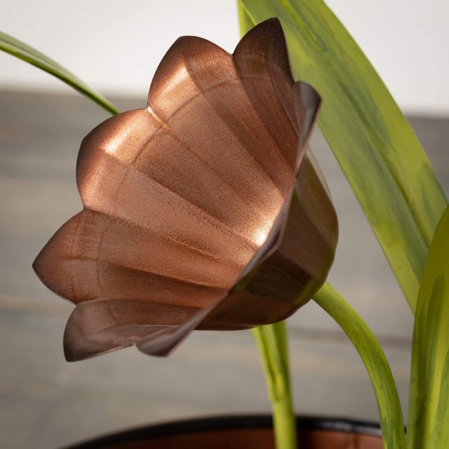 Tulip Water Fountain - Copper