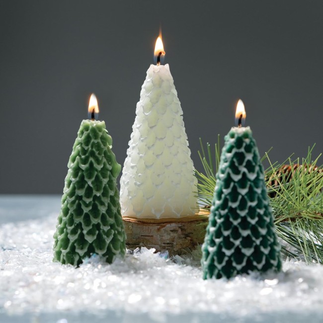 Tree Wax Candle Set of 3, Scentless, Smokeless, Eco-Friendly Candles