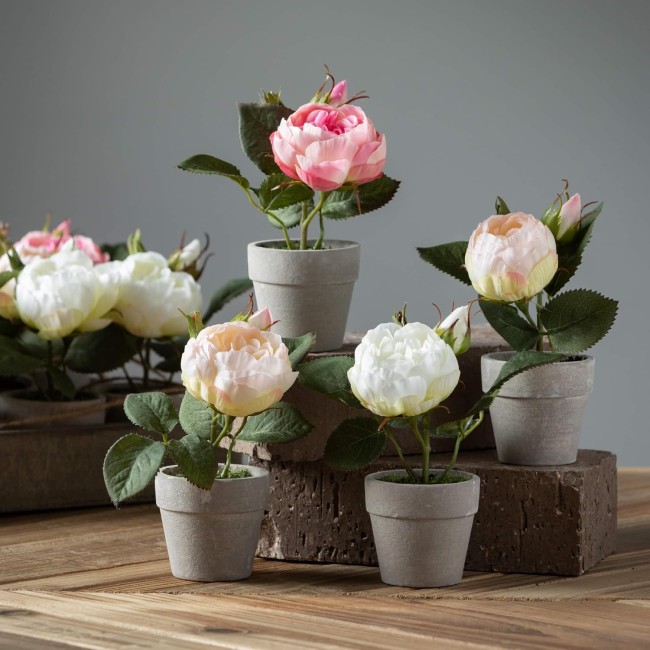  6" Artificial Potted Rose Crate of 12, Everyday Home Decor, Artificial Plants Indoor, Artificial Greenery, Room, Kitchen, Office, & Bathroom Décor, Fake Plants