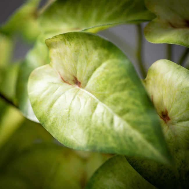  Light Green and Yellow Variegated Syngonium Bush, Artificial Fake Flower, Lifelike Bouquet Centerpiece for Home, Office, Weddings and Gifts Decor